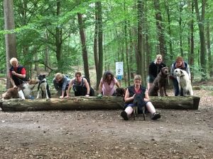 Menschen mit Hunden im Wald