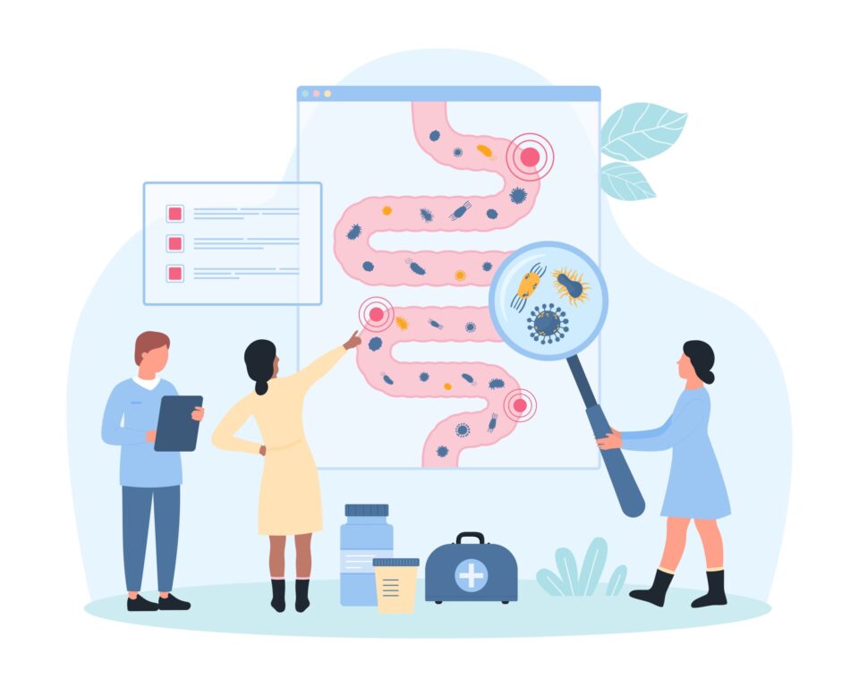 Illustration von Ärztinnen und Ärzten, die den menschlichen Darm untersuchen – mit Lupe vergrößerte Darstellung von Bakterien und Viren zur Analyse des Mikrobioms oder entzündlicher Prozesse.