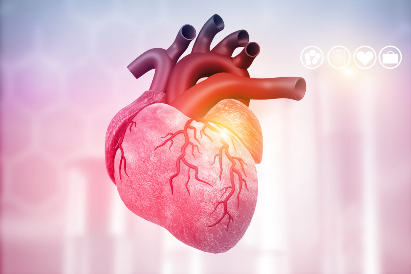 3D-Darstellung eines menschlichen Herzens mit hervorgehobenen Blutgefäßen und realistischen anatomischen Details auf einem abstrakten, hellen Hintergrund – Symbolbild für Herzgesundheit oder kardiologische Diagnostik